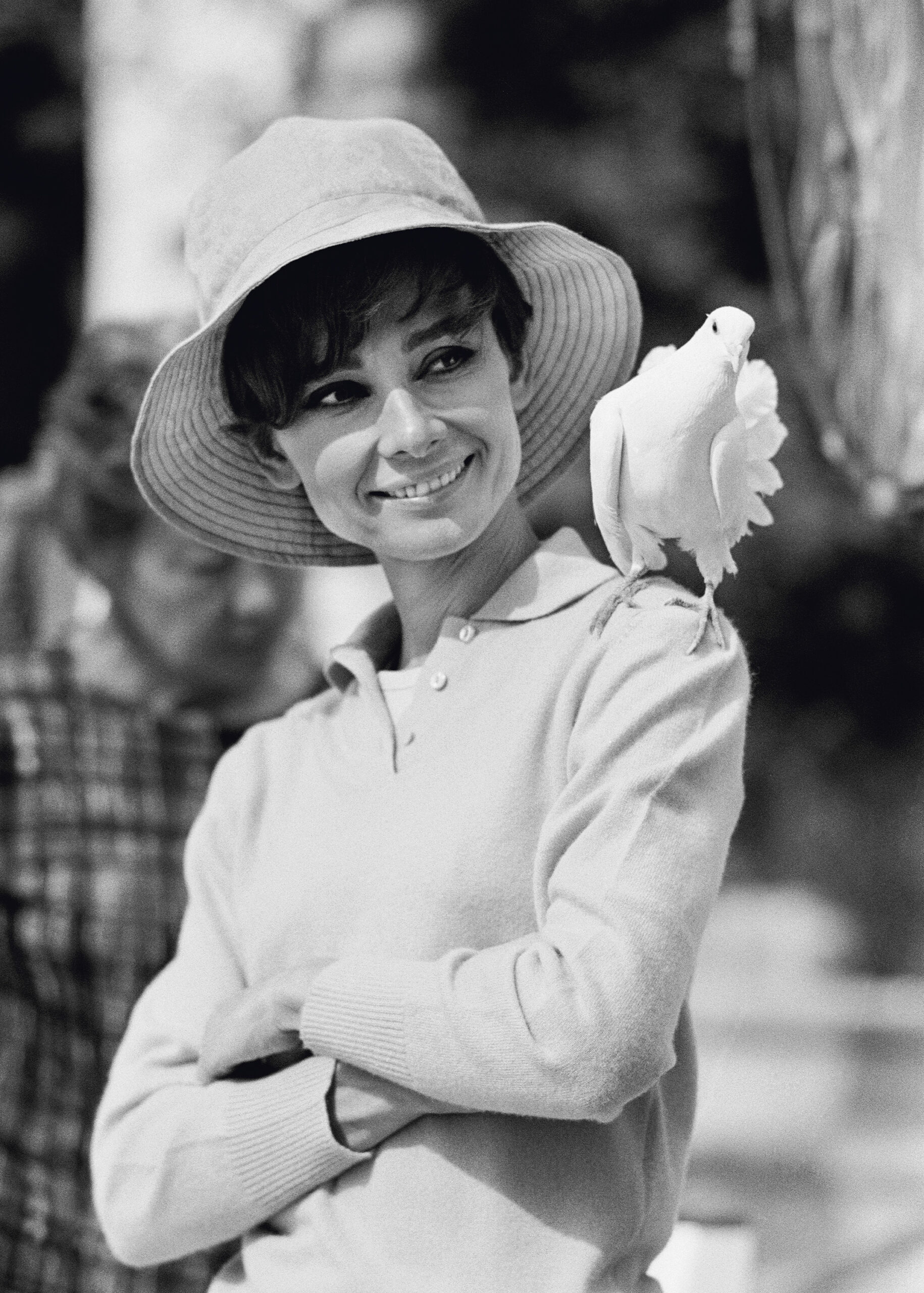 Hepburn With Dove