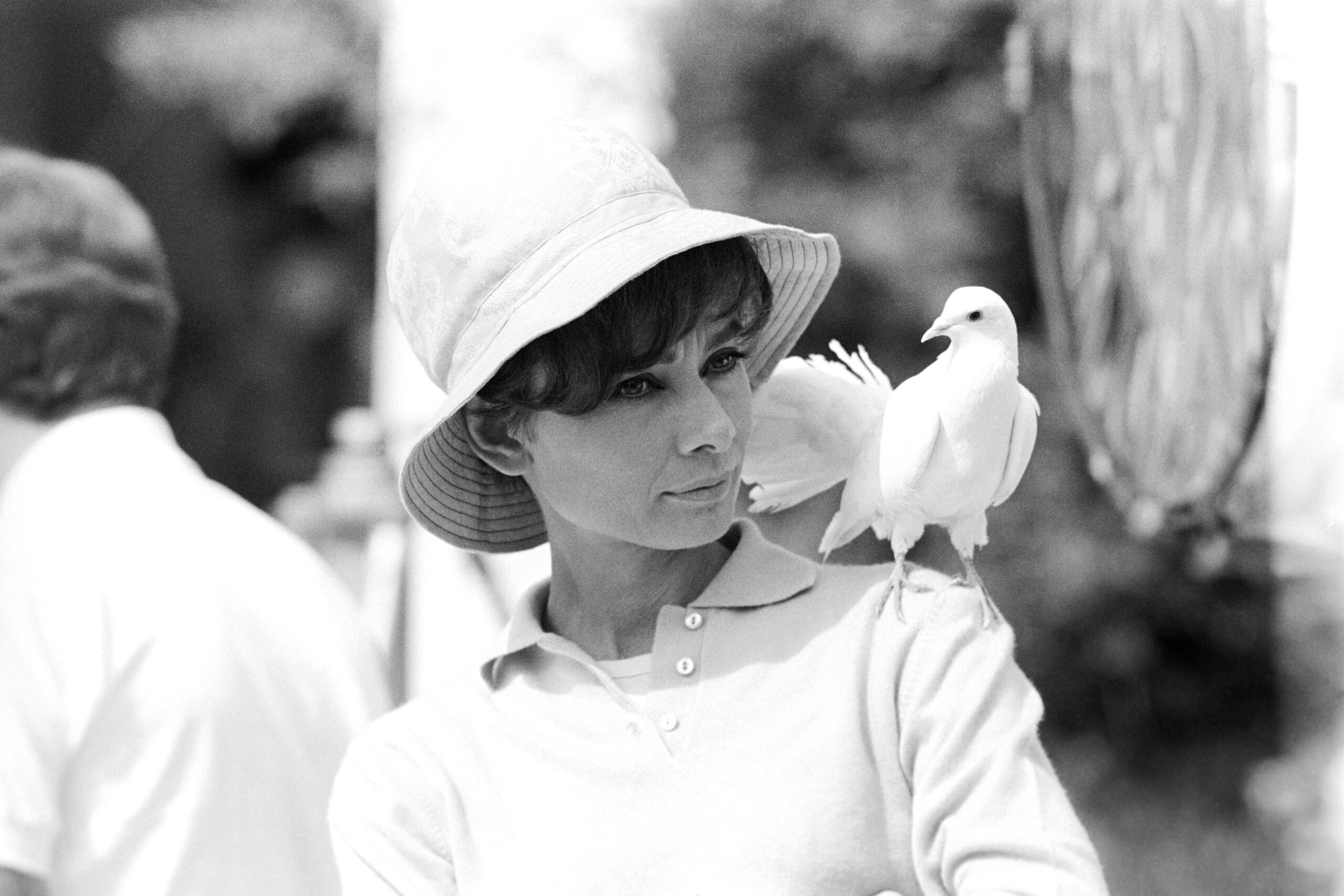 Audrey Hepburn