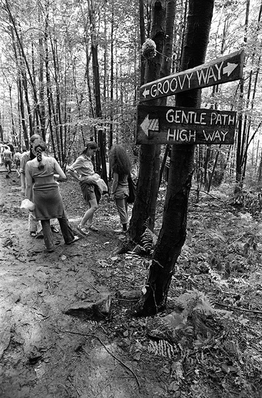 BW_WS002 : Groovy Way - Iconic Images