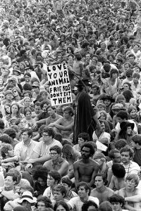 Woodstock 69433-7a