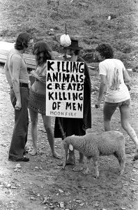 Woodstock 69433-24a