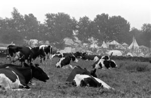 Woodstock 69435-5