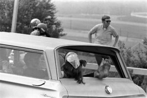 Woodstock 69438-4
