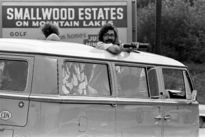 Woodstock 69438-6