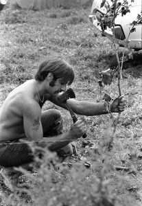 Woodstock 69438-25
