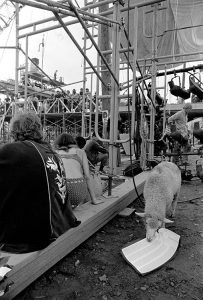 Woodstock 69439-2
