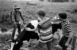 Woodstock 69441-3