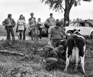 Woodstock 69441-9a