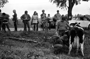 Woodstock 69441-9a