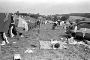 Woodstock 69445-6