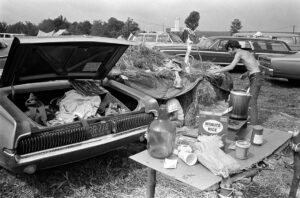 Woodstock 69445-15