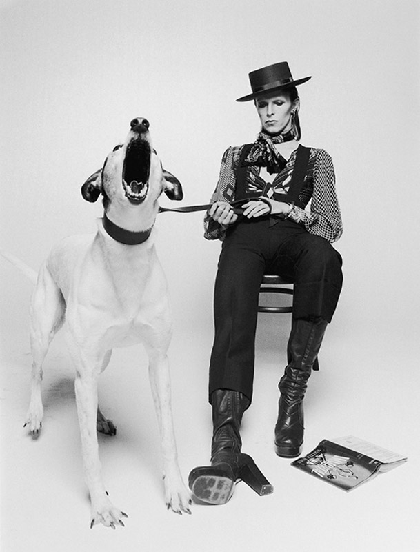 David Bowie for Diamond Dog