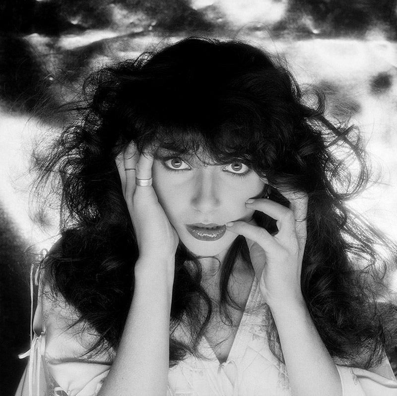 アート・デザイン・音楽 Hellen Van Meene: Portraits by Kate Bush Hellen Van Meene Portraits Schrimer/Mosel Monograph, Kate