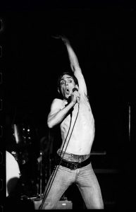 Iggy Pop