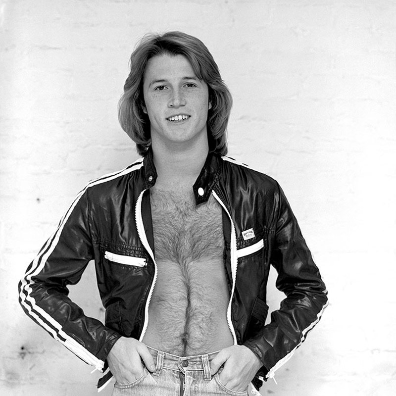 Andy Gibb.