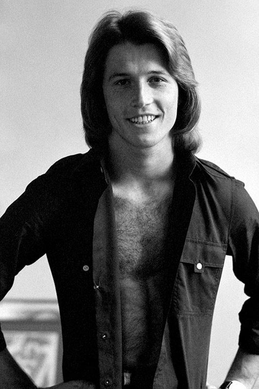 MB_MU_AG007 : Andy Gibb - Iconic Images