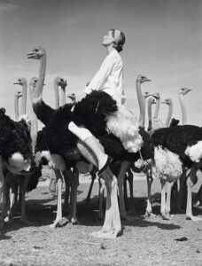 Wenda and Ostriches