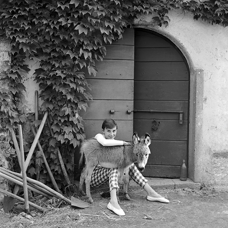 Audrey Hepburn