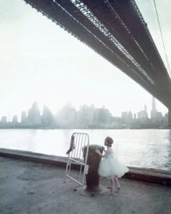 Fairy Brooklyn Bridge